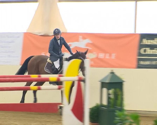 Indoor-Opening Damme 2014