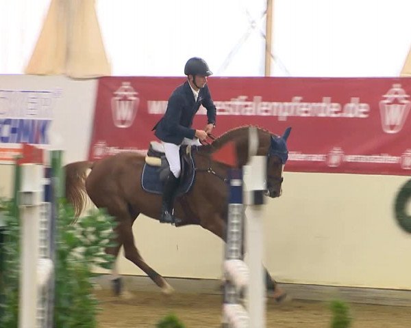 Indoor-Opening Damme 2014