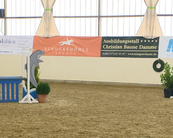 Indoor-Opening Damme 2014