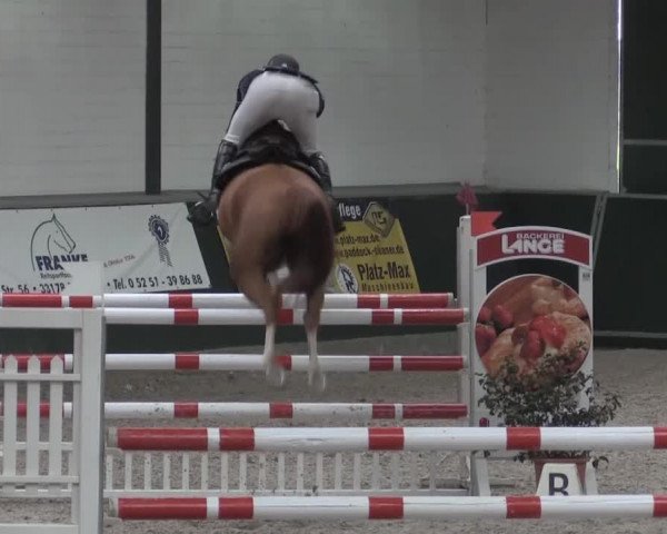 Nationales Hallenturnier Salzkotten 2014