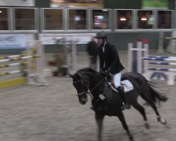 Nationales Hallenturnier Salzkotten 2014