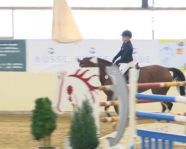 Indoor-Opening Damme 2014