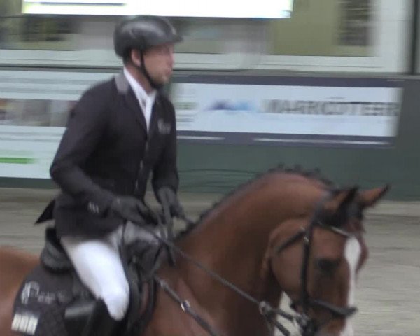 Nationales Hallenturnier Salzkotten 2014