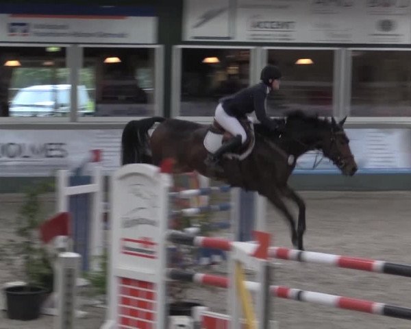 Nationales Hallenturnier Salzkotten 2014