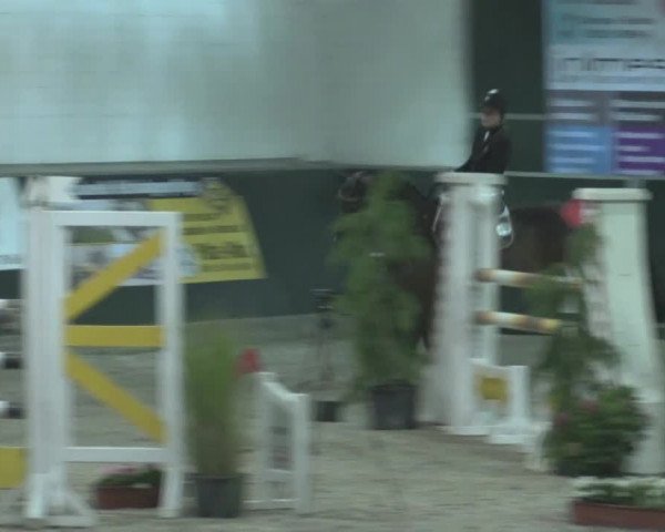 Nationales Hallenturnier Salzkotten 2014