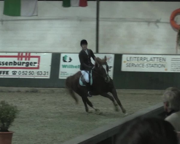 Nationales Hallenturnier Salzkotten 2014
