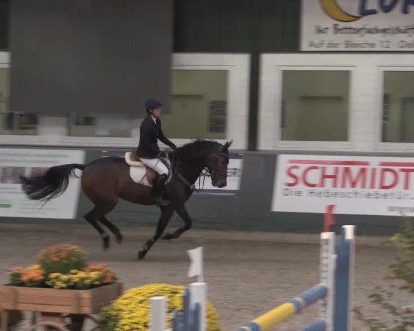 Nationales Hallenturnier Salzkotten 2014