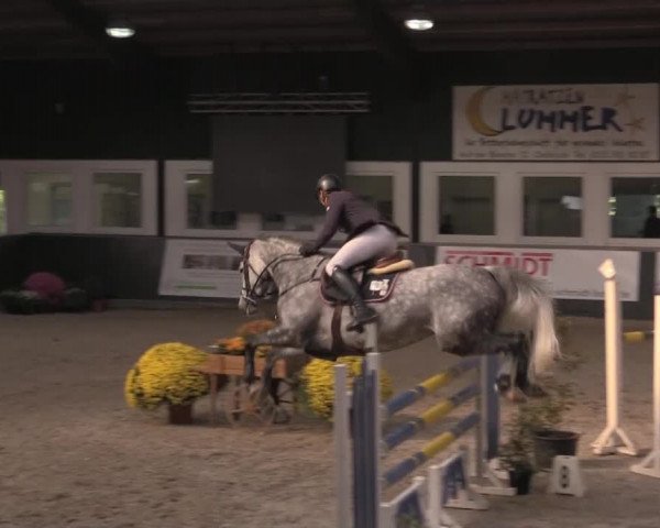 Nationales Hallenturnier Salzkotten 2014