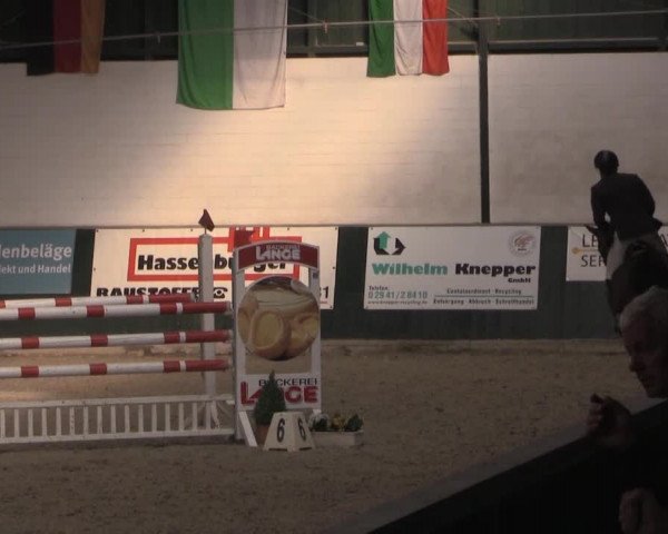 Nationales Hallenturnier Salzkotten 2014