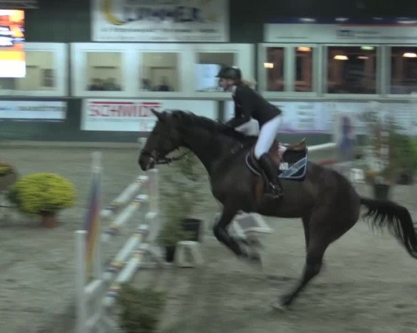 Nationales Hallenturnier Salzkotten 2014