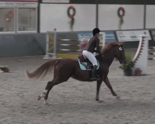 Nationales Hallenturnier Salzkotten 2014