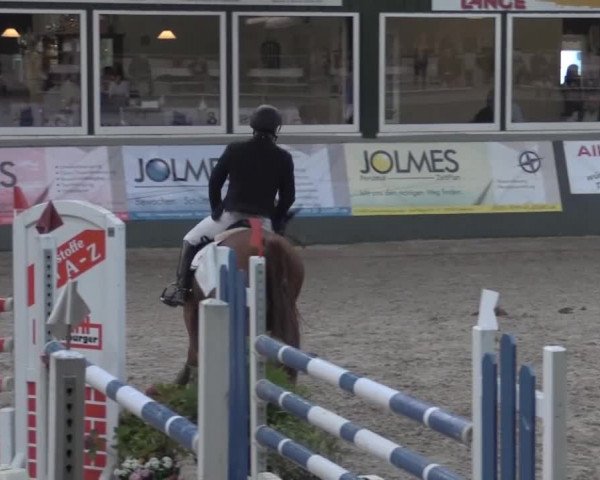 Nationales Hallenturnier Salzkotten 2014