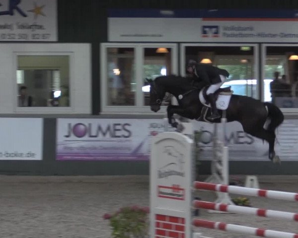 Nationales Hallenturnier Salzkotten 2014