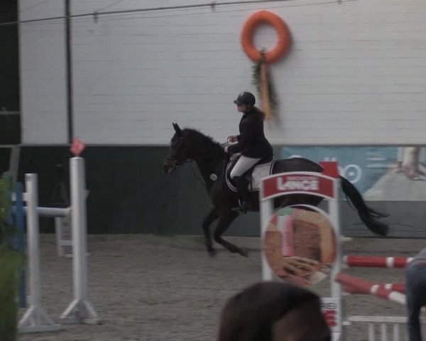 Nationales Hallenturnier Salzkotten 2014