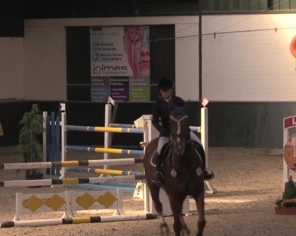 Nationales Hallenturnier Salzkotten 2014