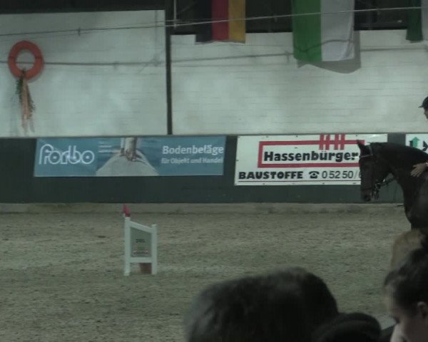 Nationales Hallenturnier Salzkotten 2014