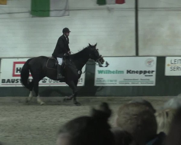 Nationales Hallenturnier Salzkotten 2014