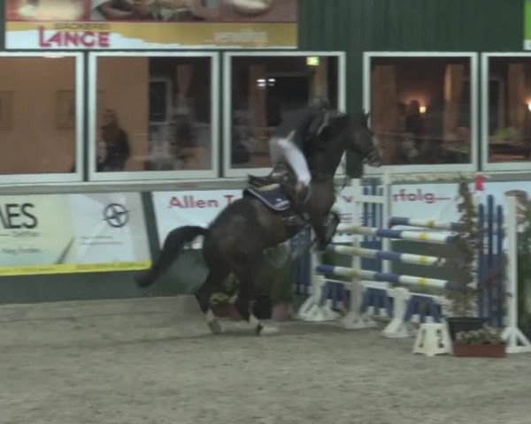 Nationales Hallenturnier Salzkotten 2014