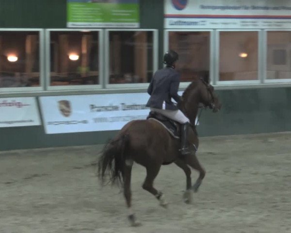 Nationales Hallenturnier Salzkotten 2014