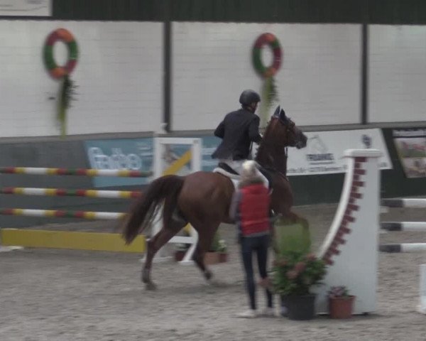 Nationales Hallenturnier Salzkotten 2014