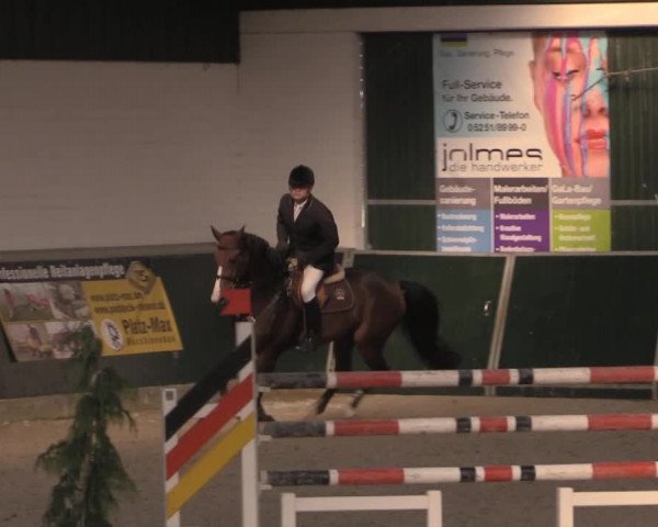 Nationales Hallenturnier Salzkotten 2014