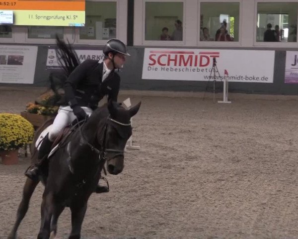 Nationales Hallenturnier Salzkotten 2014