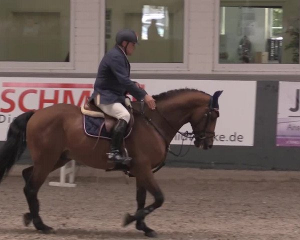Nationales Hallenturnier Salzkotten 2014