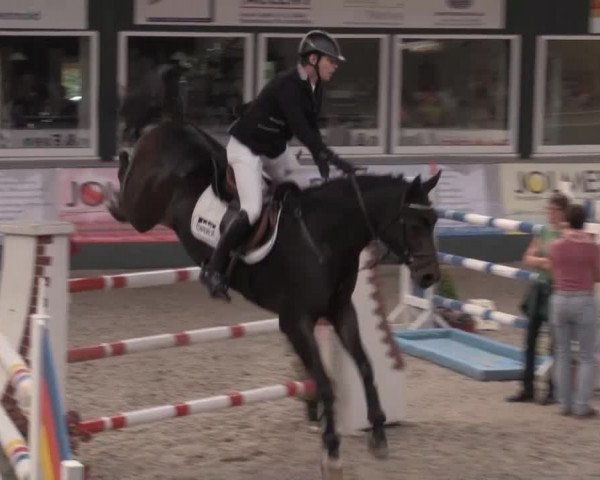 Nationales Hallenturnier Salzkotten 2014
