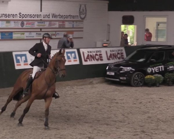 Nationales Hallenturnier Salzkotten 2014