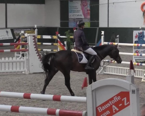 Nationales Hallenturnier Salzkotten 2014