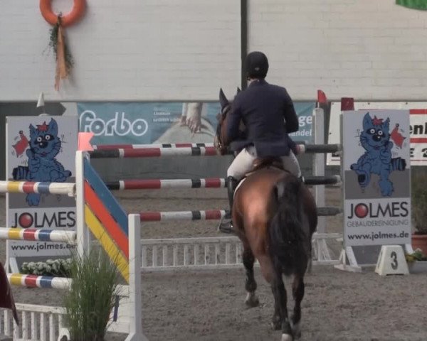 Nationales Hallenturnier Salzkotten 2014