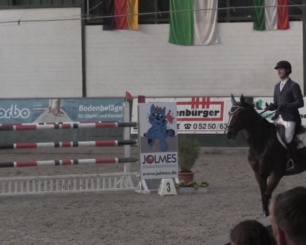 Nationales Hallenturnier Salzkotten 2014