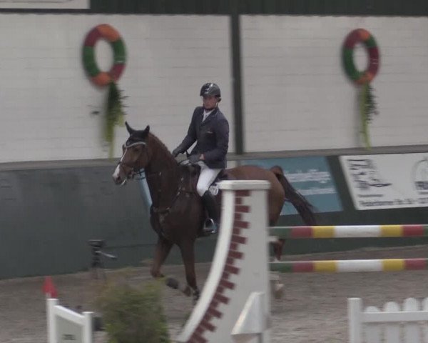 Nationales Hallenturnier Salzkotten 2014