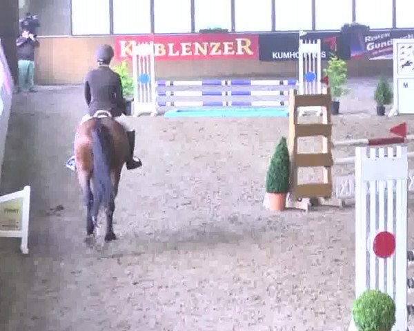 Kurtscheider Indoors 2014