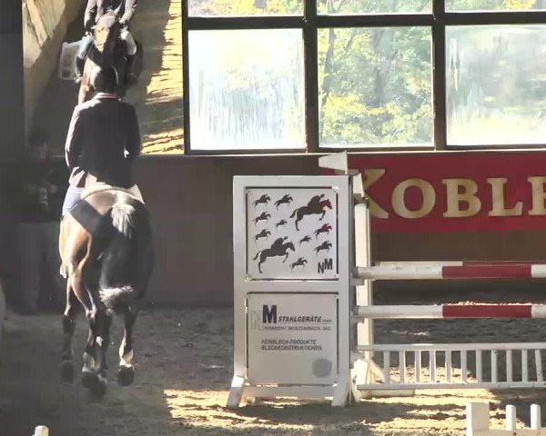 Kurtscheider Indoors 2014