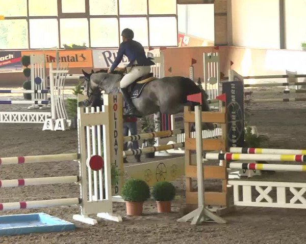 Kurtscheider Indoors 2014