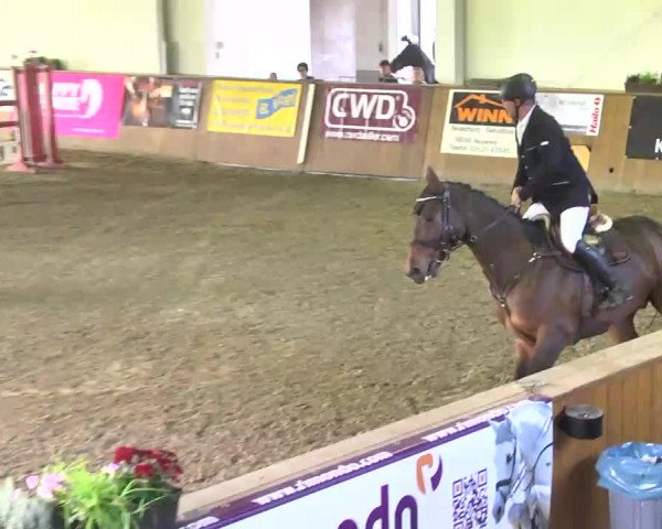 Kurtscheider Indoors 2014