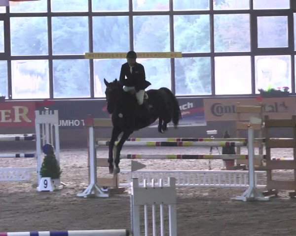 Kurtscheider Indoors 2014