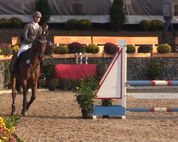RTG Silberberghof Kreismeisterschaft 2014