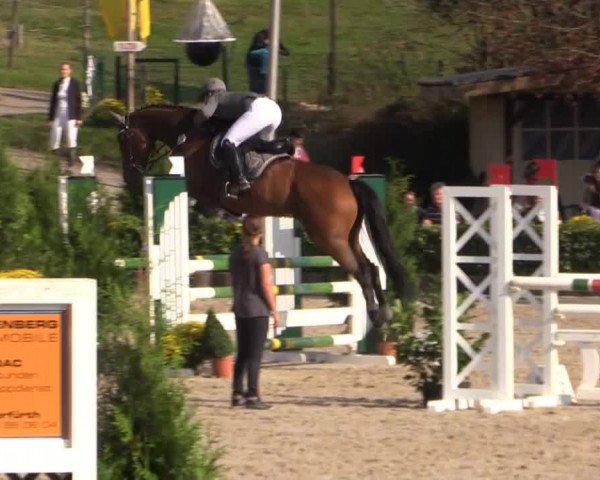 RTG Silberberghof Kreismeisterschaft 2014