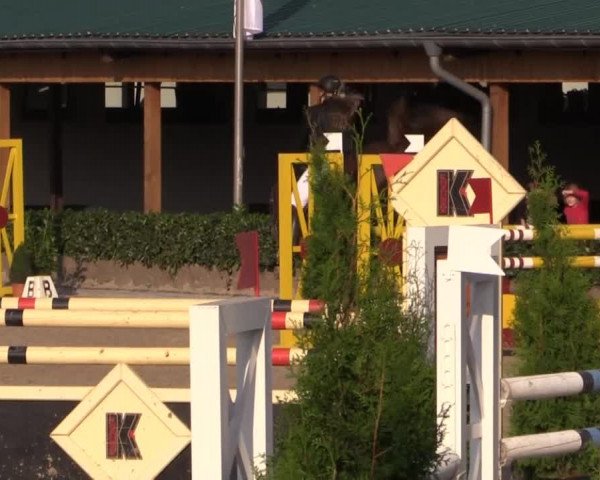 RTG Silberberghof Kreismeisterschaft 2014