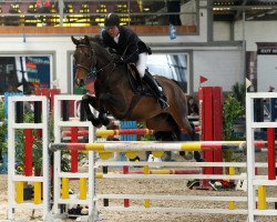 jumper Starluna (Hanoverian, 2011, from Stalypso)