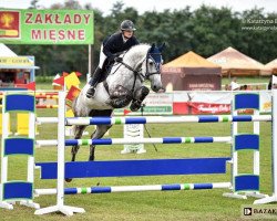 Springpferd Czudyno de Rem (Zangersheide Reitpferd, 2008, von Cap Kennedy)