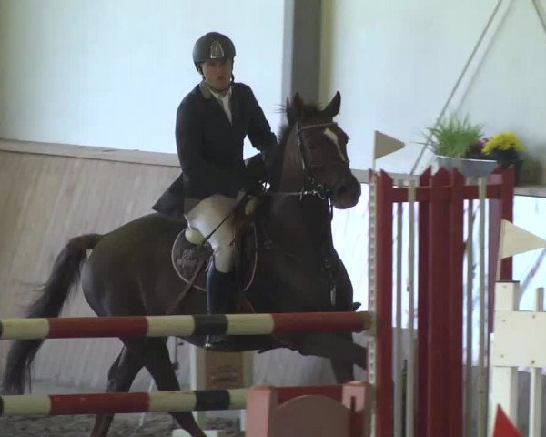 Kurtscheider Indoors 2014