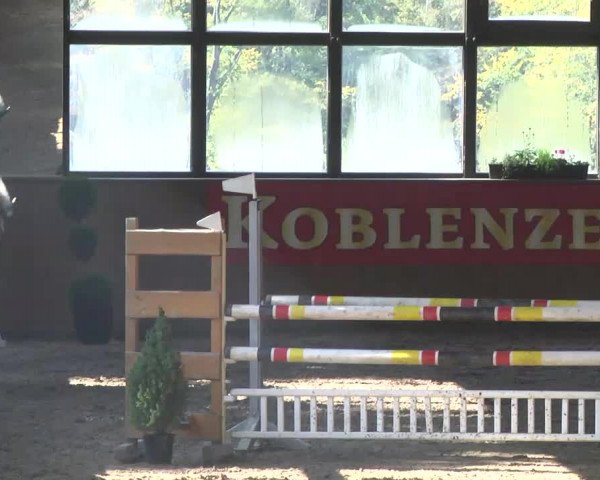 Kurtscheider Indoors 2014