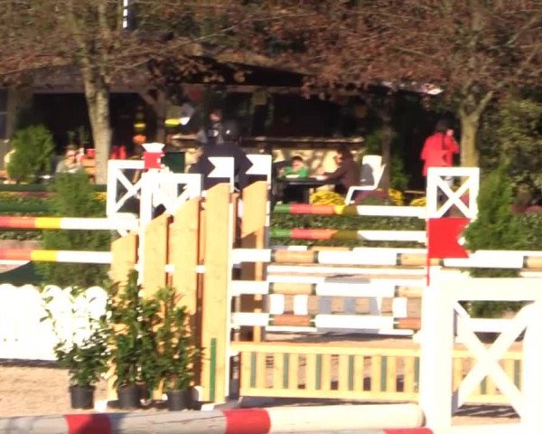 RTG Silberberghof Kreismeisterschaft 2014