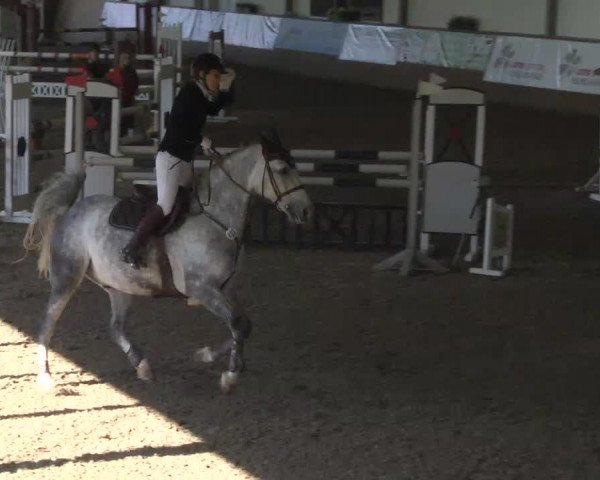 Kurtscheider Indoors 2014