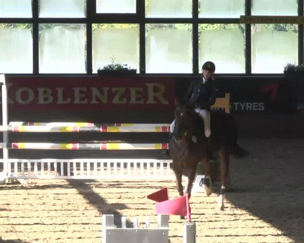 Kurtscheider Indoors 2014
