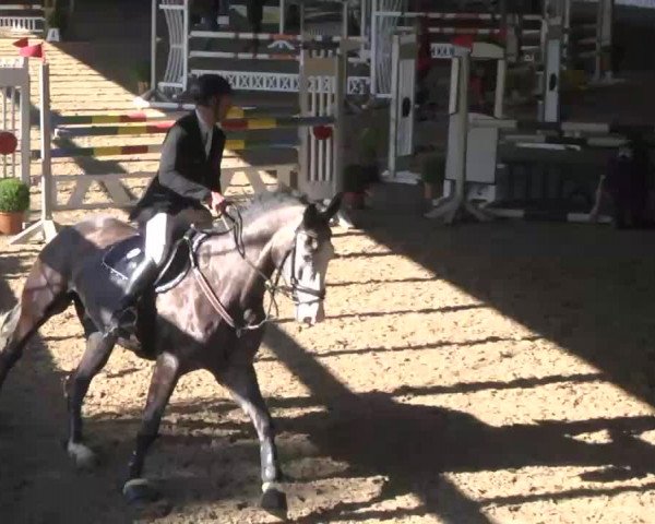Kurtscheider Indoors 2014