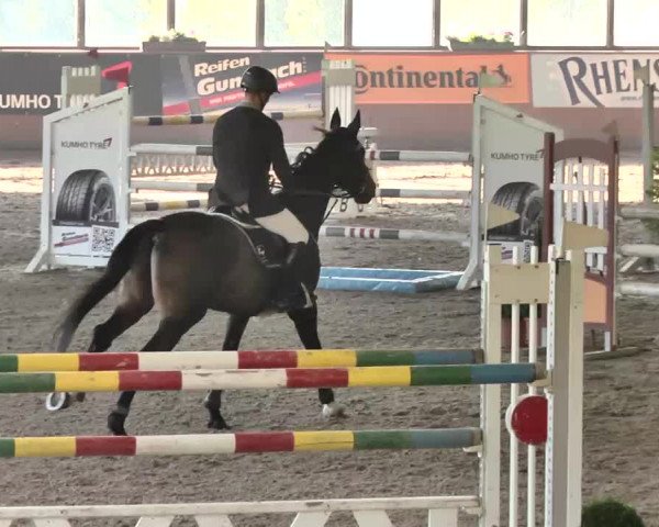 Kurtscheider Indoors 2014